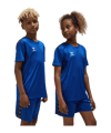 Hummel AUTHENTIC PL Trikot Kids Blau F7045 - blau
