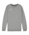 PUMA teamGOAL Casuals Sweatshirt Kids Grau F33