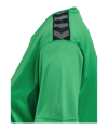 Hummel AUTHENTIC PL Trikot Damen Grün F6235 - gruen