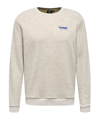 Hummel hmlLGC AUSTIN Sweatshirt Beige F2188 - grau