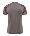 Hummel Blaze Pro Training Trikot Grau F2350