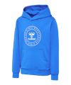 Hummel Cuatro Circle Hoody Kids Blau F7010 - blau