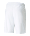 PUMA teamLIGA Short Weiss Schwarz F04 - weiss