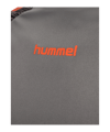 Hummel Blaze Pro Training Trikot Grau F2350