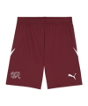 PUMA Schweiz Short EM 2024 Rot F03 - rot