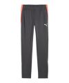 PUMA Individualliga Trainingshose Kids Grau F10