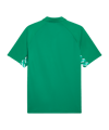 PUMA teamLIGA26 Sideline Polo Grün F05 - gruen