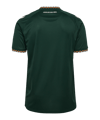 hummel SV Werder Bremen Trikot Away 2026/2027 Grün F6842 - gruen