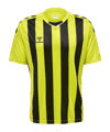 Hummel hmlCORE XK Striped Trikot Grün F5047