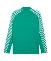 PUMA teamLIGA26 Training 1/4 Zip Top Grün F05 - gruen