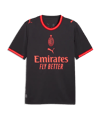 PUMA AC Mailand Replica Trikot 3rd 2026/2027 Grau F03 - grau