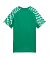 PUMA teamLIGA26 Trikot Kids Grün F05 - gruen
