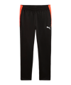 PUMA IndividualLIGA Trainingshose Schwarz F07