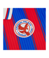 Macron Crystal Palace Trikot 2025/2026 Blau - blau