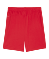 PUMA teamGOAL Short Rot Weiss F01 - rot