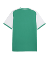 PUMA teamLIGA26 Matchday Trikot Grün F05 - gruen