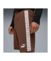 PUMA FC St. Pauli King Sweat Short Braun F01 - braun
