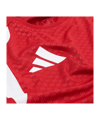 adidas Fortuna Düsseldorf Training Tanktop Rot - rot
