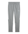 PUMA teamEVOSTRIPE Trainingshose Grau F33 - grau