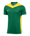 Nike Park Derby IV Trikot Kids Grün Gelb F303