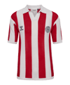 hummel DBU Dänemark Fan Knit Hemd 2026 Weiß F9160 - weiss