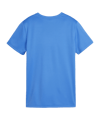 PUMA teamGOAL Trikot Damen Blau F02 - hellblau