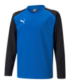 PUMA teamLIGA Sweatshirt Kids Blau F02 - blau