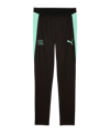 PUMA SFV Schweiz Trainingshose Schwarz F10 - schwarz