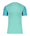 Nike Trophy V Trikot Türkis F354 - tuerkis