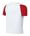 Nike Academy II Trikot Kids Weiß F102 - weiss