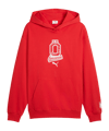 PUMA ÖFB Österreich FtblCulture Hoody Rot F20 - rot