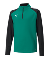 PUMA teamLIGA HalfZip Sweatshirt Kids Grün F05 - gruen