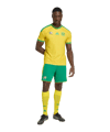 adidas Südafrika Trikot Home 2026 Gelb - gelb