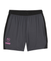 PUMA KING Pro Short Grau Schwarz F05 - grau