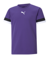 PUMA teamRISE Trikot Kids Lila F10