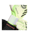 adidas Predator Match Torwarthandschuhe Grün - gruen