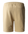 The North Face Summer Logo Short Braun - braun