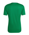 adidas Entrada 22 Trikot Grün - gruen