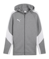 PUMA teamEVOSTRIPE Kapuzenjacke Grau F33 - grau