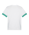PUMA teamGOAL Matchday Trikot Weiss Grün F15 - weiss