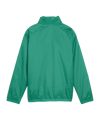 PUMA teamGOAL Allwetterjacke Kids Grün Weiss F05 - gruen