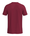 Erima INTRO function T-Shirt Rot F2082585 - rot