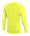 Nike Park VIII Trikot langarm Grün F702