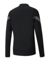 PUMA teamFINAL Training 1/4 Zip Sweatshirt F03 - schwarz