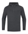 JAKO Pro Casual Kapuzenjacke Grau F855