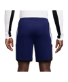 Nike Academy 25 Short Blau F492