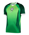 Nike NFF Nigeria Trikot Home WM 2026 Grün F302 - gruen