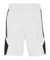 Jordan TM25 Basketball Stock Short Weiß F100 - weiss