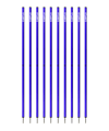 Cawila Academy Slalomstangen 10er Set (33mmx180cm) Blau - blau