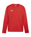 PUMA teamGOAL Training Sweatshirt Rot F01